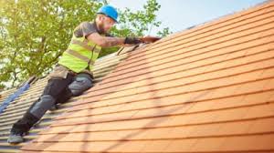 Best Roof Maintenance and Cleaning  in Scottsville, NY